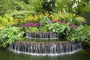 Crane sculptures and decorative fountain surrounded Crane sculptures and decorative fountain surrounded