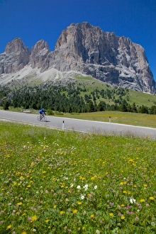 Cyclist and Sassolungo Group, Sella Pass, Trento and Bolzano Provinces, Italian Dolomites, Italy, Europe Cyclist and Sassolungo Group, Sella Pass, Trento and Bolzano Provinces, Italian Dolomites, Italy, Europe