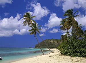Darkwood Beach, Antigua, Leeward Islands, Caribbean, West Indies, Central America Darkwood Beach, Antigua, Leeward Islands, Caribbean, West Indies, Central America