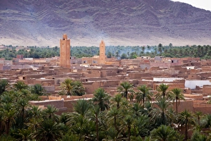 Date palm oasis and Jorf mountain, Figuig, province of Figuig, Oriental Region Date palm oasis and Jorf mountain, Figuig, province of Figuig, Oriental Region