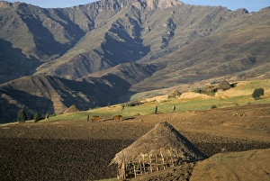 Debirichwa village in early morning, Simien Mountains National Park, UNESCO World Heritage Site Debirichwa village in early morning, Simien Mountains National Park, UNESCO World Heritage Site