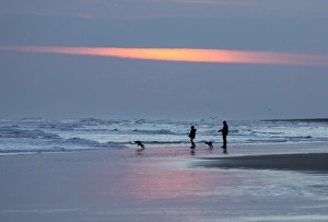 Dog walkers in silhouette on Bamburgh Beach at sunrise, Bamburgh, Northumberland Dog walkers in silhouette on Bamburgh Beach at sunrise, Bamburgh, Northumberland