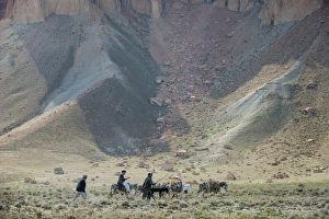 Donkeys and farmers make their way home near Band-e Amir, Afghanistan, Asia Donkeys and farmers make their way home near Band-e Amir, Afghanistan, Asia