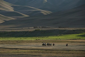 Donkeys are the main source of transport in rural Bamiyan province, Afghanistan, Asia Donkeys are the main source of transport in rural Bamiyan province, Afghanistan, Asia