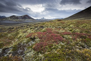 Dramatic frozen landscape, Snaefellsnes Peninsula, Iceland, Polar Regions Dramatic frozen landscape, Snaefellsnes Peninsula, Iceland, Polar Regions
