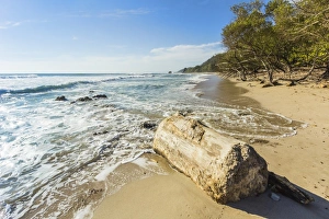 Driftwood on this beautiful surf beach near Mal Pais, far south of Nicoya Peninsula Driftwood on this beautiful surf beach near Mal Pais, far south of Nicoya Peninsula
