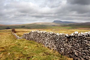 Dry stone wall at Winskill Stones with Pen Y Ghent beyond, near Settle, Yorkshire Dales Dry stone wall at Winskill Stones with Pen Y Ghent beyond, near Settle, Yorkshire Dales