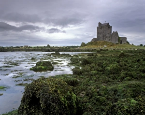 Dunguaire Castle dating from the 16th century and coast Dunguaire Castle dating from the 16th century and coast