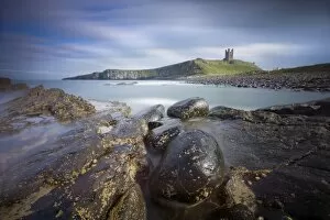 Images Dated 25th April 2010: Dunstanburgh Castle bathed in afternoon sunlight with rocky coastline in foreground
