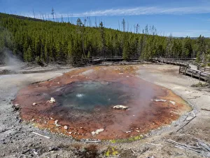 Echinus Spring in the Norris Geyser Basin, Yellowstone National Park Echinus Spring in the Norris Geyser Basin, Yellowstone National Park