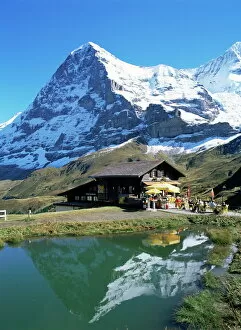 Swiss Gallery: The Eiger, Kleine Scheidegg