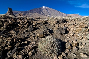 El Teide volcano, Teide National Park, UNESCO World Heritage Site, Tenerife El Teide volcano, Teide National Park, UNESCO World Heritage Site, Tenerife