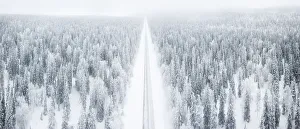 Elevated panoramic view of road along the snow covered forest, Pallas-Yllastunturi National Park Elevated panoramic view of road along the snow covered forest, Pallas-Yllastunturi National Park