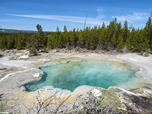 Emerald Spring in the Norris Geyser Basin, Yellowstone National Park Emerald Spring in the Norris Geyser Basin, Yellowstone National Park