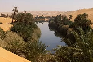 Libya Collection: In the erg of Ubari, the Umm-el Ma (Mother of the Waters) Lake, Libya, North Africa