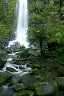 Erskine Falls, waterfall in the rainforest, Great Ocean Road, South Australia Erskine Falls, waterfall in the rainforest, Great Ocean Road, South Australia