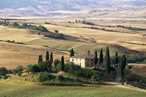 Related Images Gallery: Farmhouse and cypress trees in the early morning