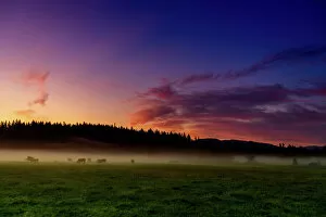 Backlit Gallery: Farmland of Auburn at sunrise, Washington State, United States of America, North America