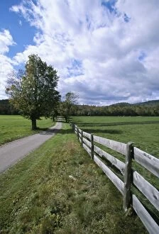 Wall Street Gallery: Fence and country road