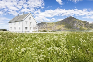 Field of blooming flowers frame the typical wooden house surrounded by peaks and blue sea Field of blooming flowers frame the typical wooden house surrounded by peaks and blue sea