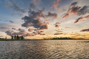 Fir trees and clouds reflecting on the suface of Hovsgol Lake at sunset, Hovsgol province Fir trees and clouds reflecting on the suface of Hovsgol Lake at sunset, Hovsgol province