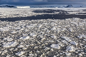 First year sea ice and brash ice near Petermann Island, western side of the Antarctic Peninsula, Southern Ocean First year sea ice and brash ice near Petermann Island, western side of the Antarctic Peninsula, Southern Ocean