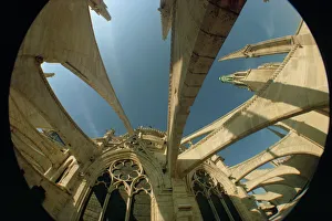 Fish eye lens view of the flying butresses of Notre Dame Cathedral, Paris, France, Europe Fish eye lens view of the flying butresses of Notre Dame Cathedral, Paris, France, Europe