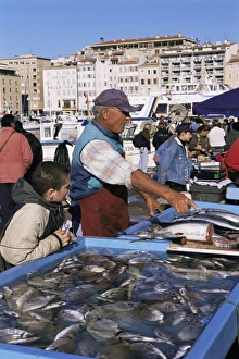Fish market, Vieux Port, Marseille, Bouches du Rhone, Provence, France, Europe Fish market, Vieux Port, Marseille, Bouches du Rhone, Provence, France, Europe