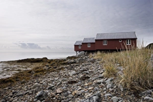 Three fishermens cabins (rorbuer), Lofoton Islands, Norway, Scandinavia, Europe Three fishermens cabins (rorbuer), Lofoton Islands, Norway, Scandinavia, Europe