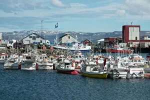 Variation Gallery: Fishing boats in the harbour at Patreksfjordur, West Fjords, Iceland, Polar Regions