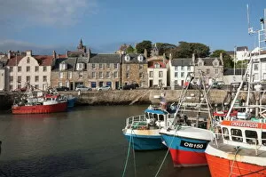Images Dated 1st October 2013: Fishing boats in the harbour at Pittenweem, east coast, Fife, Scotland, United Kingdom, Europe