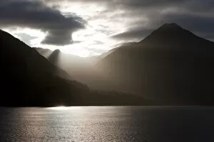Sun Lit Gallery: Fjord, Thomson Sound, South Island, New Zealand, Pacific