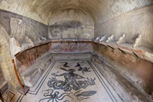Campania Collection: Floor of tepidarium in Roman central baths mosaic depicting Triton surrounded by dolphins