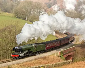 Prints of The Flying Scotsman steam locomotive arriving at Goathland station on the North Yorkshire Moors Railway, Yorkshire, England, United Kingdom, Europe United Kingdom Prints: The Flying Scotsman Print - Goathland Station