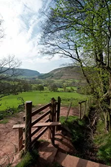 Footpath Gallery: Footpath at Llanthony, Monmouthshire, Wales, United Kingdom, Europe