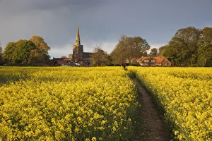 Footpath in rapeseed field to village of Peasemore and St Footpath in rapeseed field to village of Peasemore and St