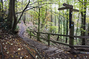 Yorkshire Gallery: 