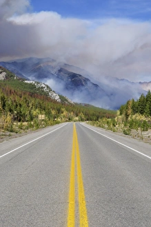 Forest Fire near Saskatchewan Crossing, Banff National Park, UNESCO World Heritage Site Forest Fire near Saskatchewan Crossing, Banff National Park, UNESCO World Heritage Site