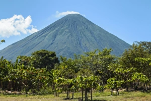 The forested side of the 1610m active Volcan Concepcion seen from the east of the island The forested side of the 1610m active Volcan Concepcion seen from the east of the island