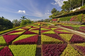 Formal gardens in the Botanical gardens (Jardim Botanico), above Funchal Formal gardens in the Botanical gardens (Jardim Botanico), above Funchal