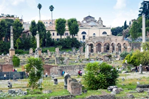 Forum of Nerva, Roman Forum (Foro Romano), UNESCO World Heritage Site, Rome, Lazio Forum of Nerva, Roman Forum (Foro Romano), UNESCO World Heritage Site, Rome, Lazio