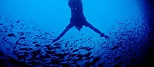 Free diving in a cave off Espanola Island, Galapagos, Ecuador, South America