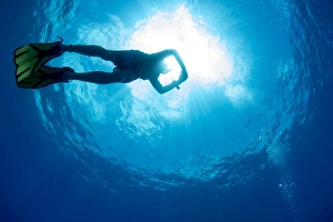 Free diving snorkeller and sunburst on the Great Barrier Reef, UNESCO World Heritage Site Free diving snorkeller and sunburst on the Great Barrier Reef, UNESCO World Heritage Site