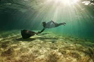 Images Dated 14th November 2009: A freediver plays with a stingray, Antigua, West Indies, Caribbean, Central America