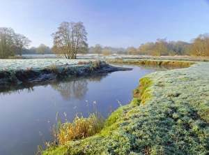 A frosty morning on Surrey Wildlife Trusts wetland reserve A frosty morning on Surrey Wildlife Trusts wetland reserve