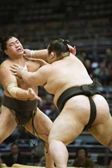 Fukuoka Sumo competition, Kyushu Basho, Fukuoka city, Kyushu, Japan, Asia Fukuoka Sumo competition, Kyushu Basho, Fukuoka city, Kyushu, Japan, Asia