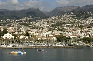 Images Dated 26th January 2013: Funchal, Madeira, Portugal, Atlantic, Europe