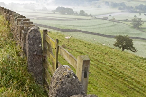 Gate in stone wall and field, near Burnsall, Yorkshire Dales National Park, Yorkshire, England, United Kingdom, Europe Gate in stone wall and field, near Burnsall, Yorkshire Dales National Park, Yorkshire, England, United Kingdom, Europe