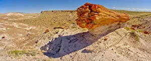 A giant petrified log on a sandstone pedestal on the edge of the Blue Mesa in Petrified A giant petrified log on a sandstone pedestal on the edge of the Blue Mesa in Petrified