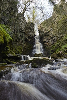 Mill Gill Force waterfall, Askrigg, Wensleydale, North Yorkshire, Yorkshire, England Mill Gill Force waterfall, Askrigg, Wensleydale, North Yorkshire, Yorkshire, England